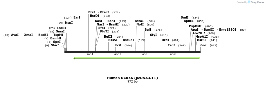 147915_map