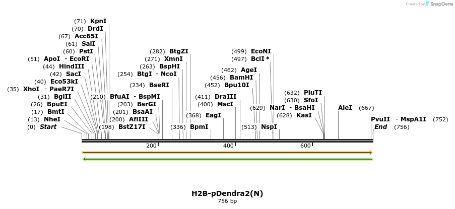 147916_map