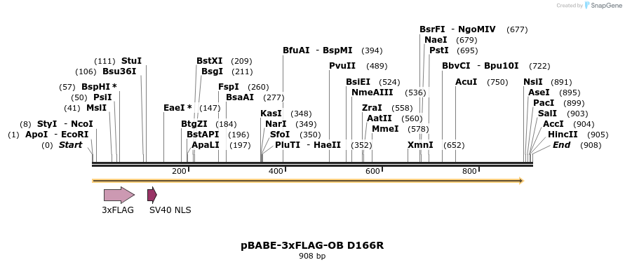147919_map