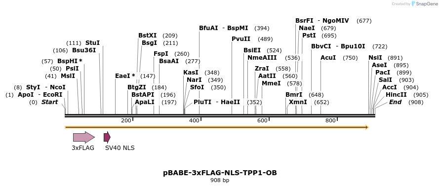 147927_map