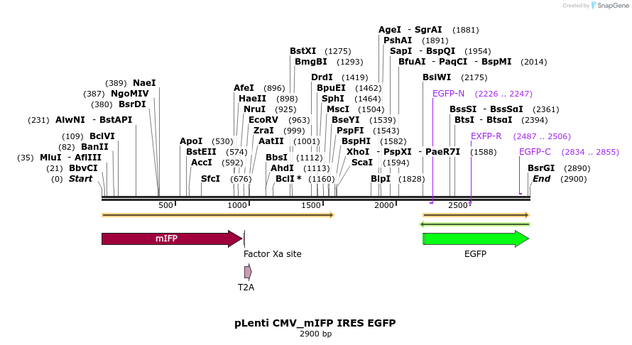 147931_map