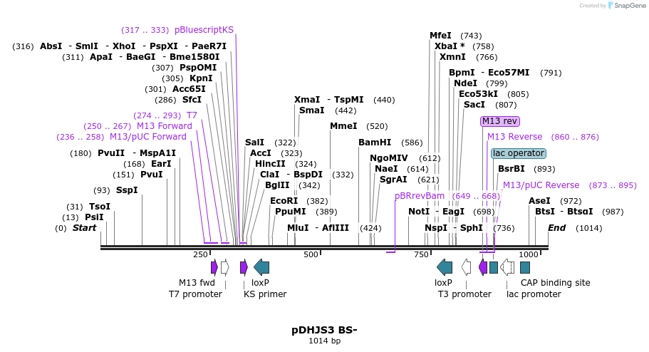 147939_map