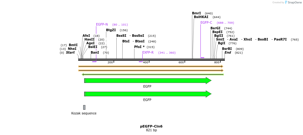 147940_map