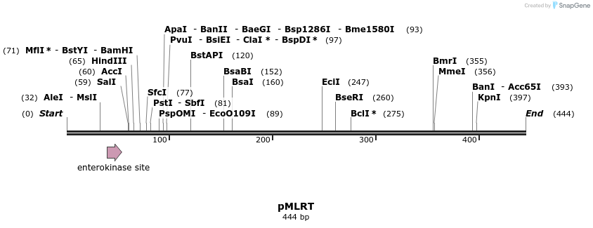 147941_map