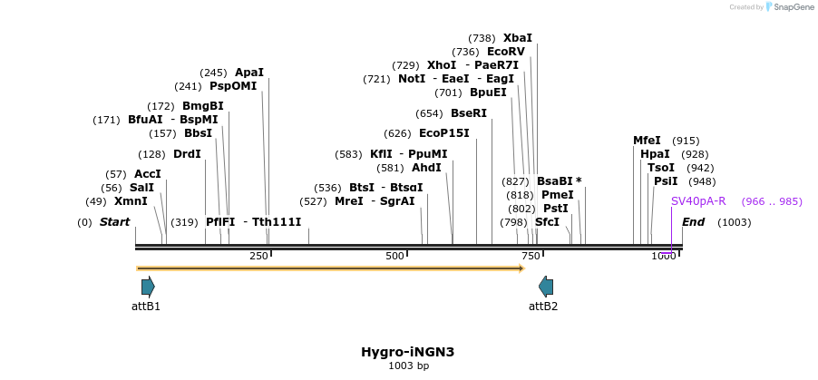 147952_map