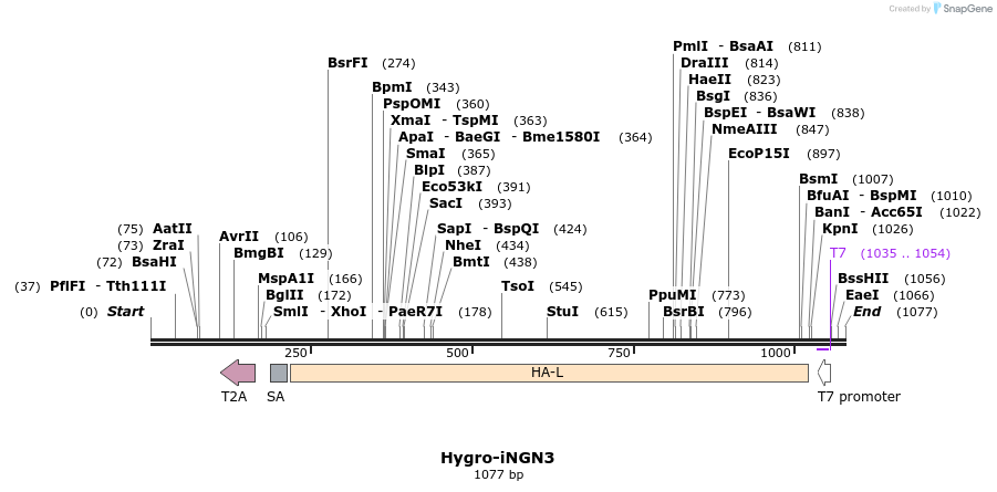 147953_map