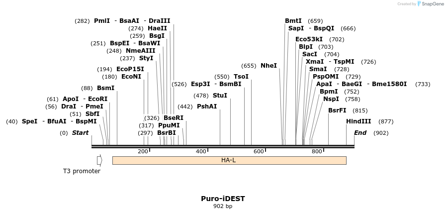 147955_map