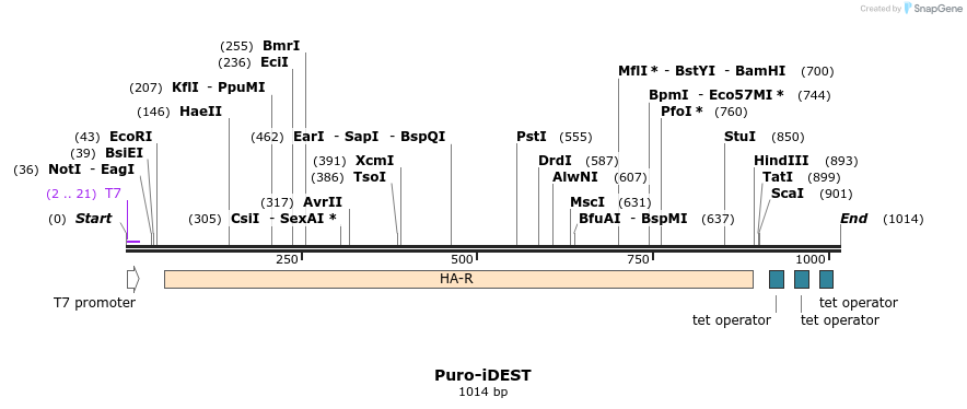 147956_map