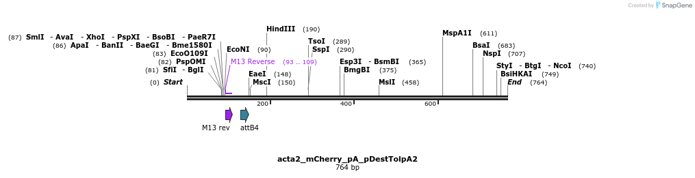 147964_map