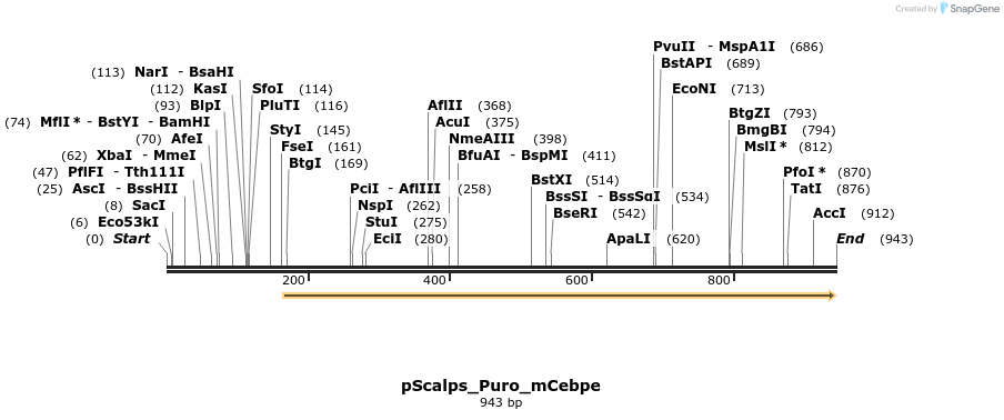 147971_map