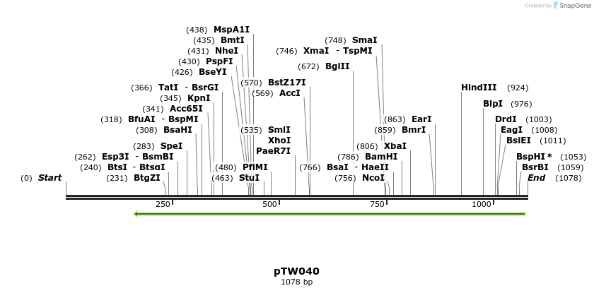 147983_map