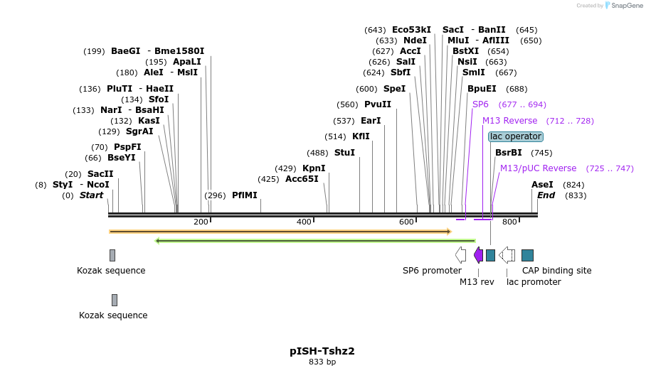 148010_map