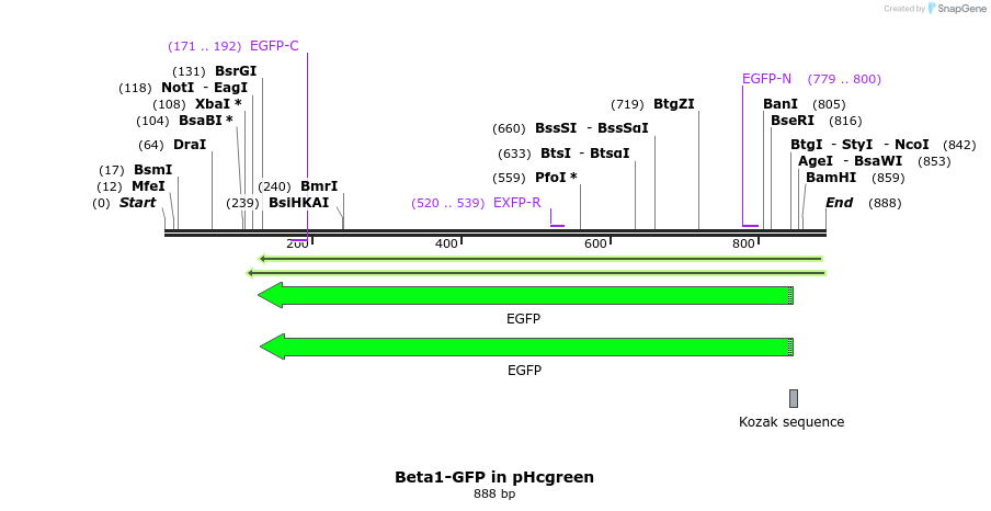148014_map