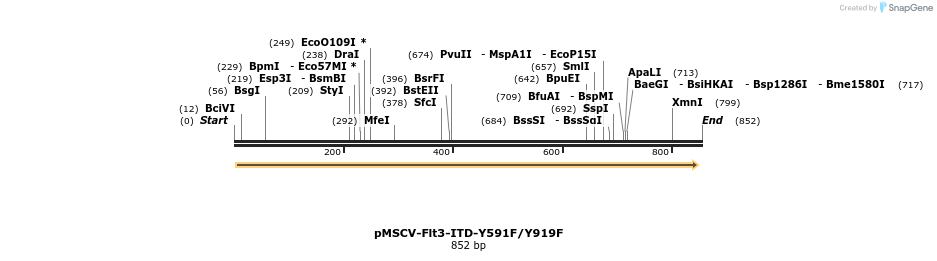 148015_map