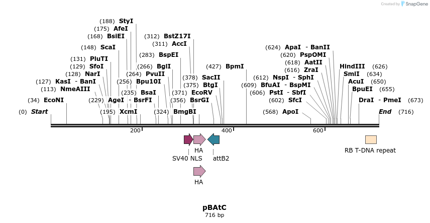 148016_map