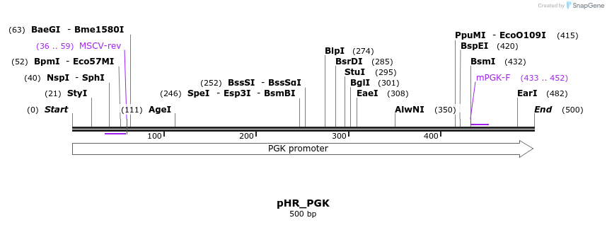 148030_map