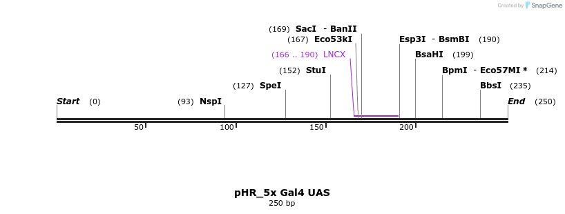 148031_map