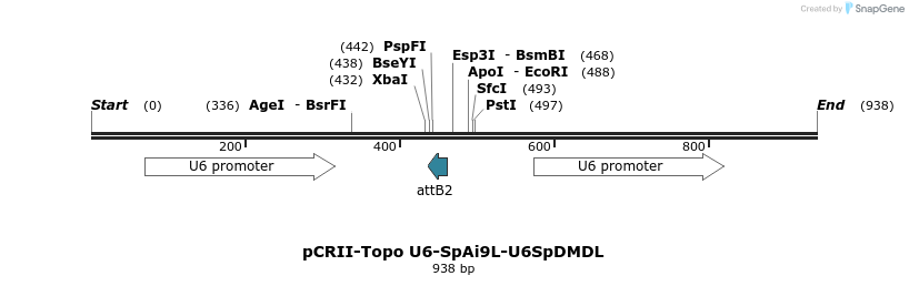 148032_map