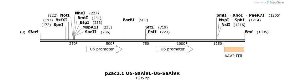 148035_map