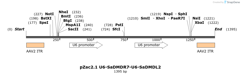 148036_map