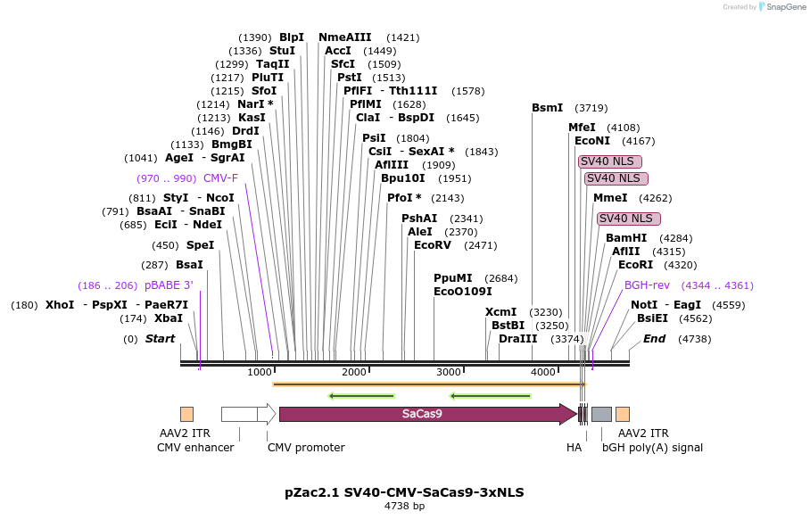 148037_map