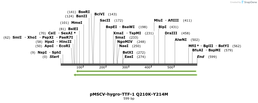 148051_map