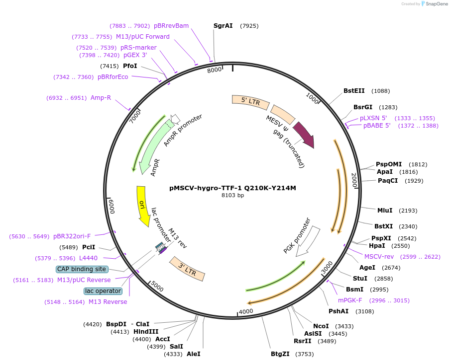 148052_map