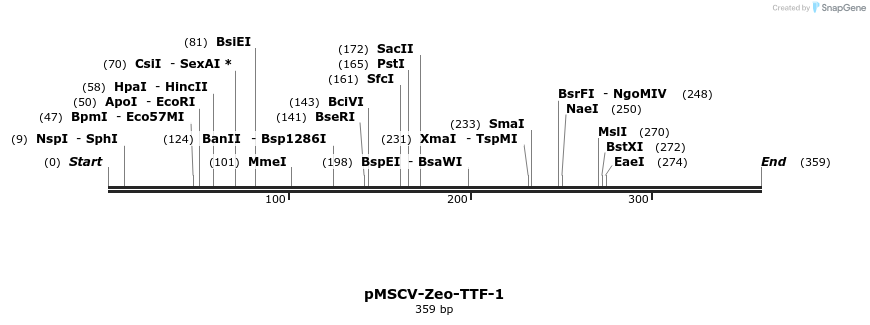 148054_map