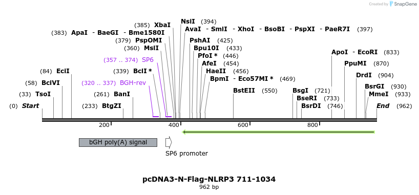 148061_map