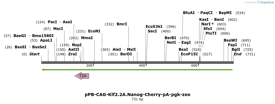 148074_map