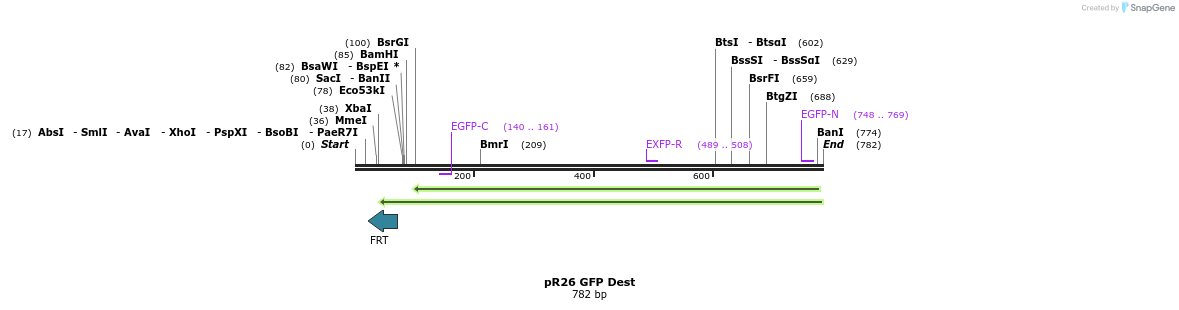 148082_map