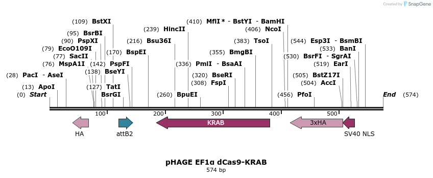 148106_map