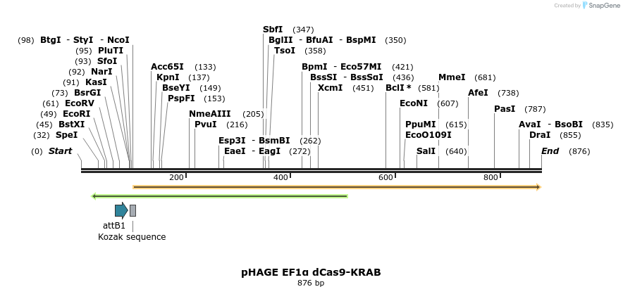 148107_map