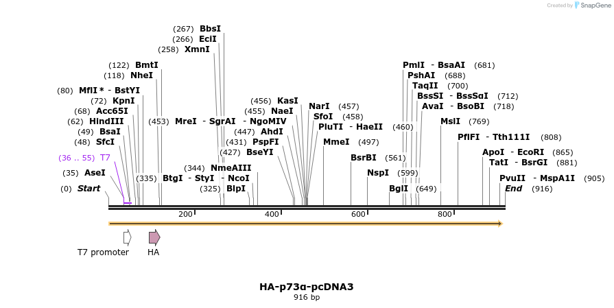 148108_map