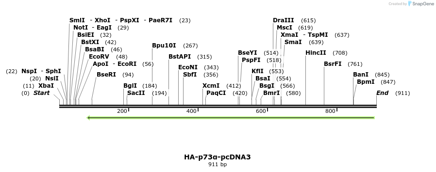 148109_map