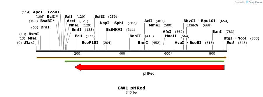 148111_map