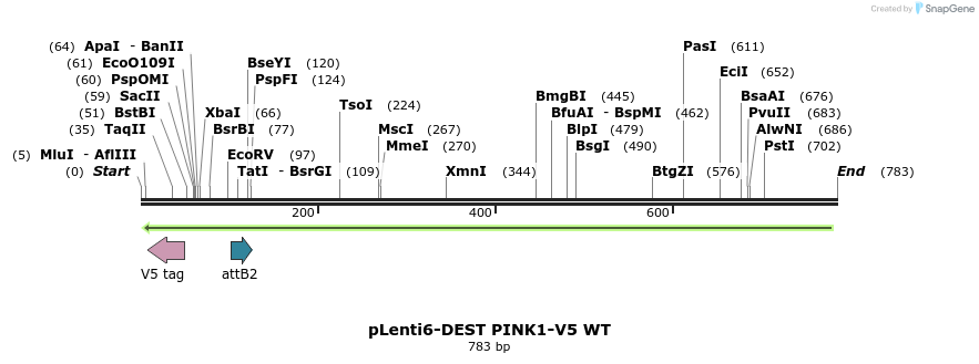 148118_map
