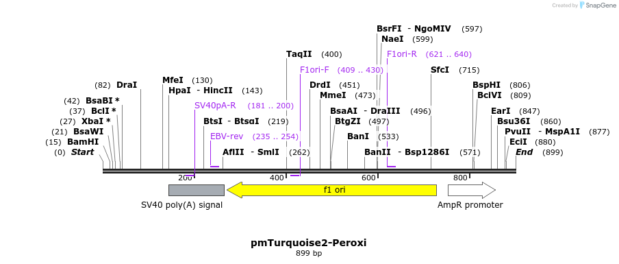 148120_map