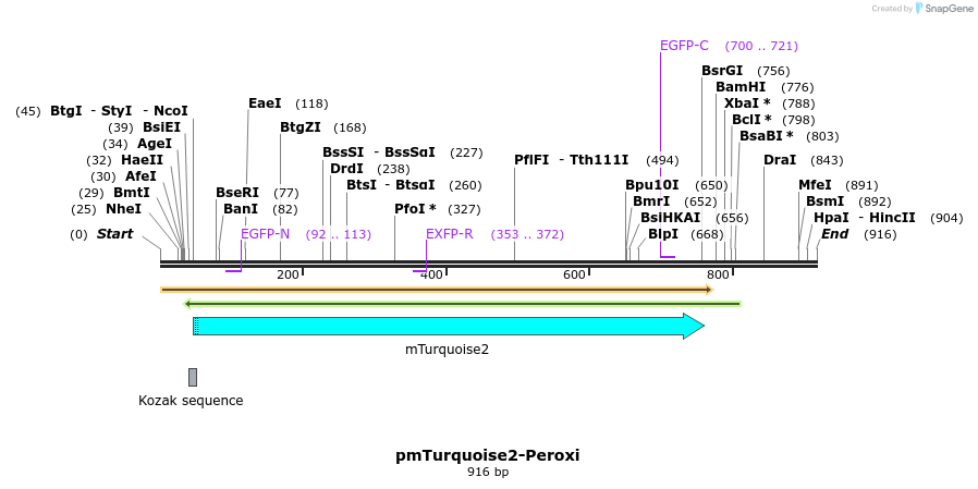 148121_map