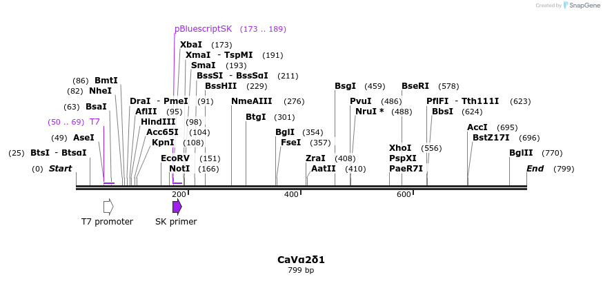 148125_map