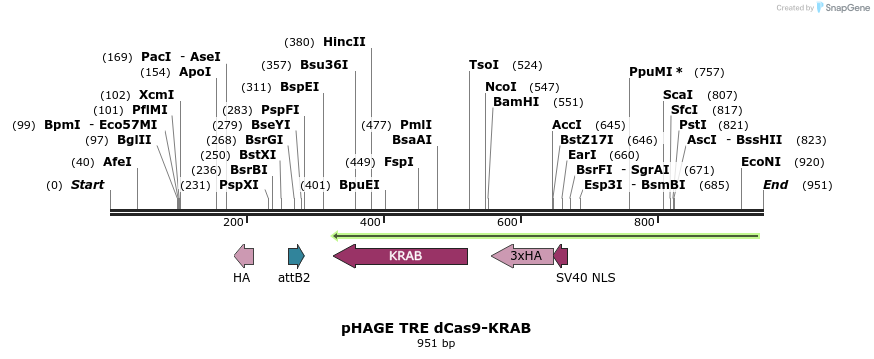 148127_map