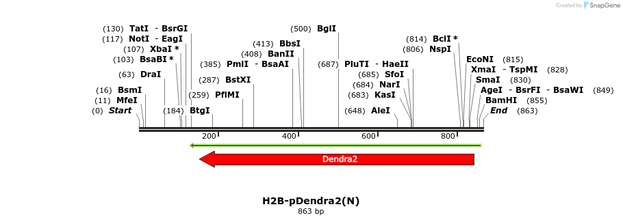 148130_map