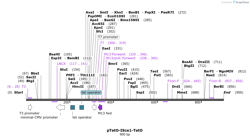 148133_map