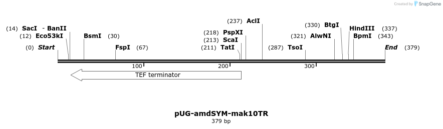 148157_map