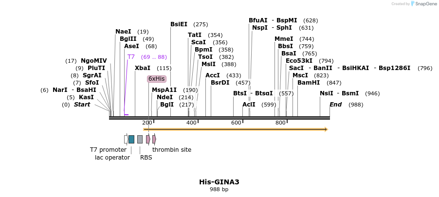 148164_map
