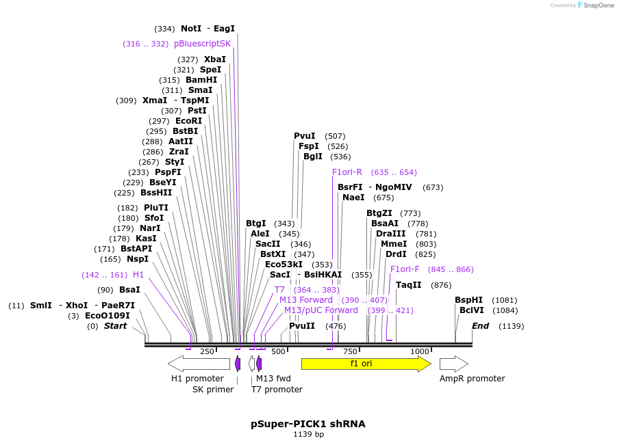 148167_map