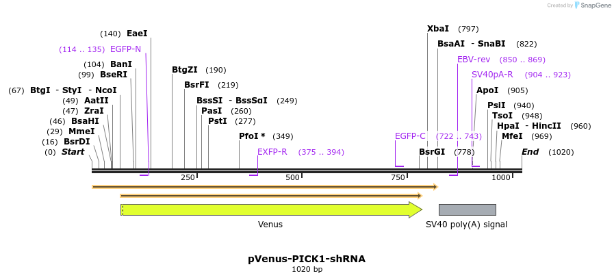 148173_map