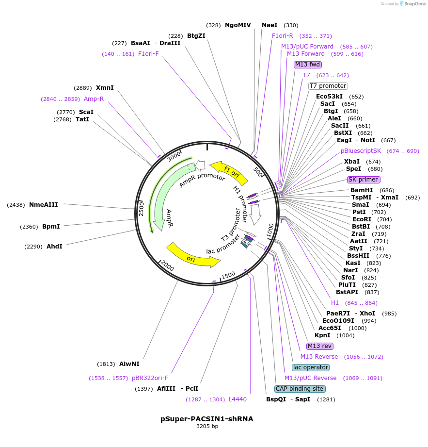 148176_map