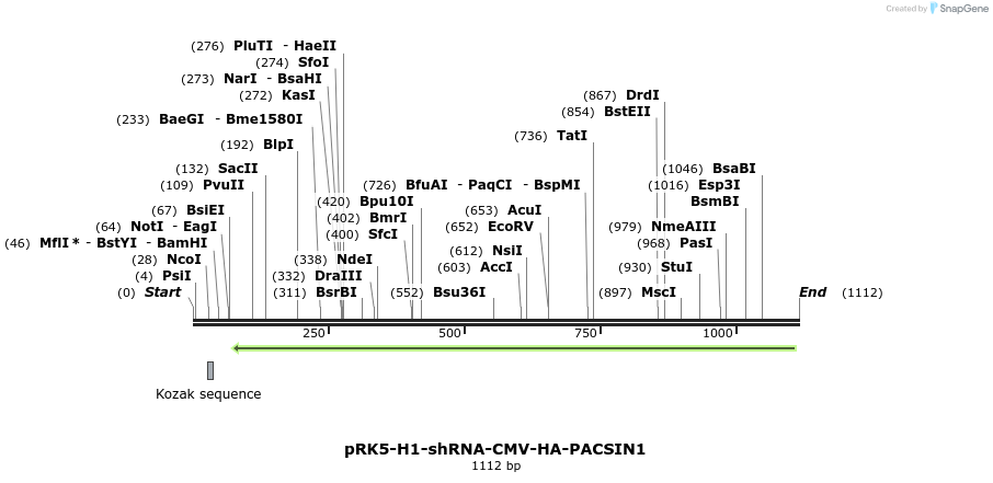 148178_map