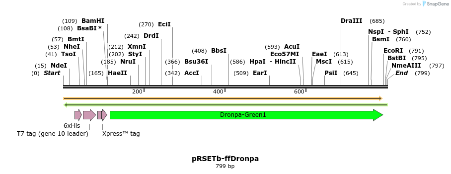 148188_map